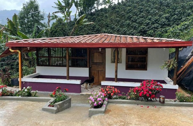 Finca de Café La Guadalupe, Casa de Campo Jardín