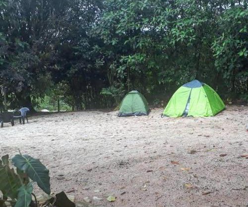 Finca de la Vaca - Camping