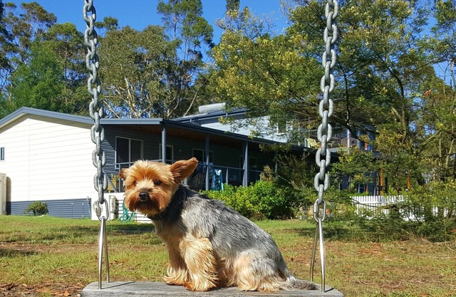 Finchley, Wandandian NSW - pets welcome