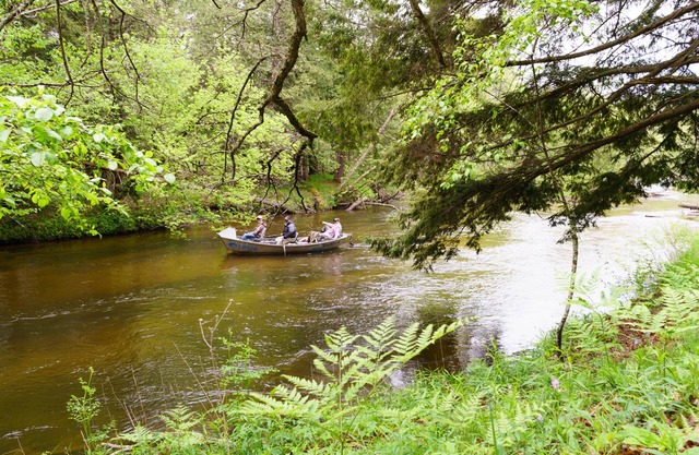 Fish & Kayak the Pere Marquette River from this Cozy Cabin on the River Bank