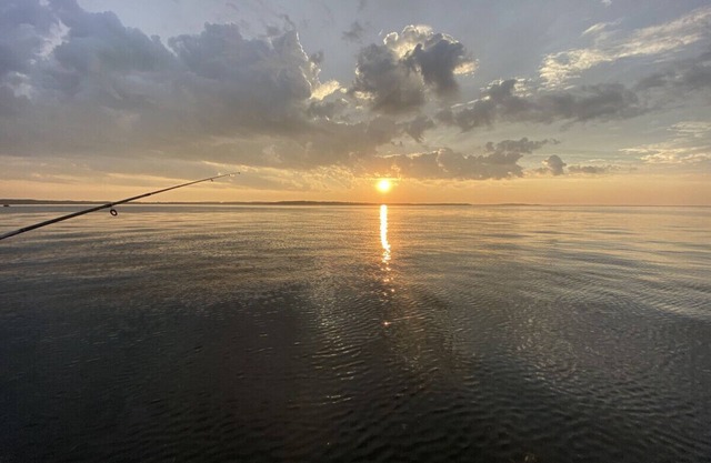 Fishing, boat rental, fenced yard, canoe, ping pong!