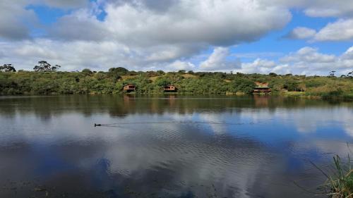 Fleckvieh Guest Farm