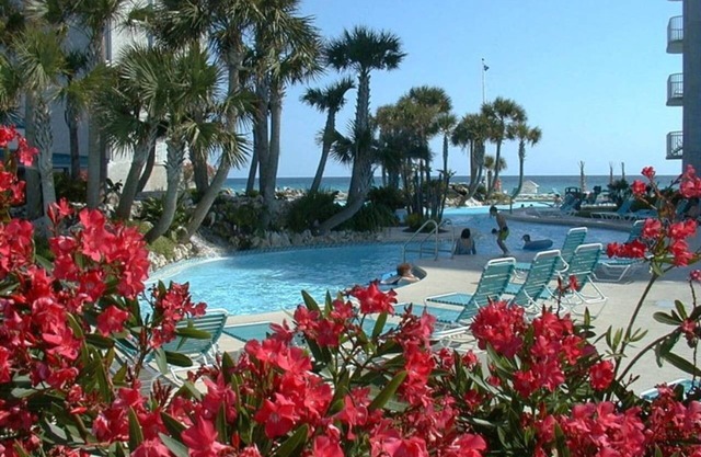 Flexible Policies: Affordable #3 *Beach Front Condo* Condo Great Views!