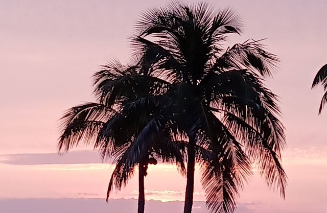 Florida Pine Island Paradise Get-Away in Bokeelia