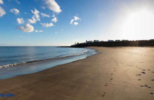 Flower Beach Lanzarote
