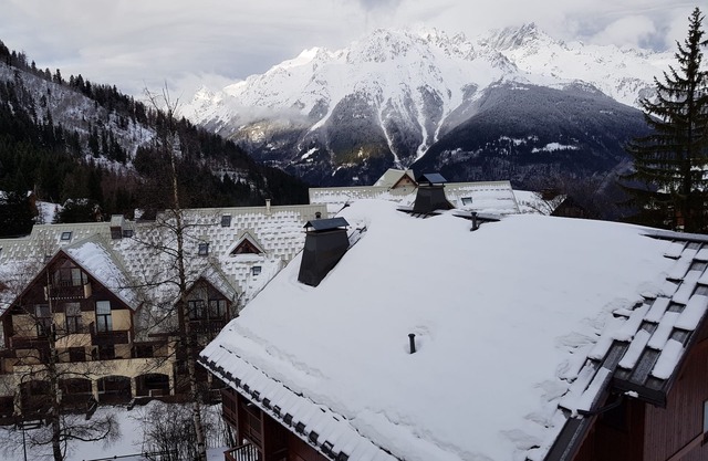 For rent luxury apartment 6 to 8 p in chalet in the mountains-Oz en Oisans-Franc