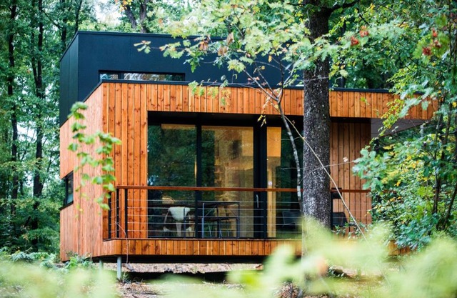 Forest cube Tradition