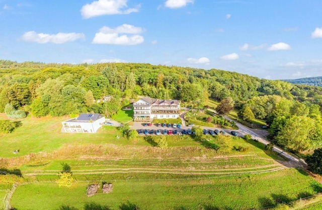 Forest side standard room, forest view from 12 nights - Waldhotel Sonnenberg