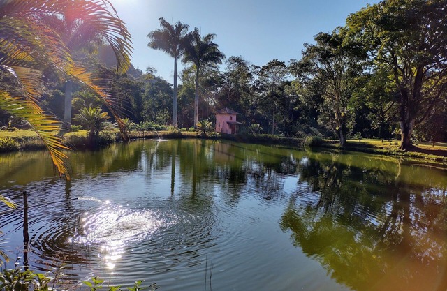 Forest site - Santa Teresa - ES