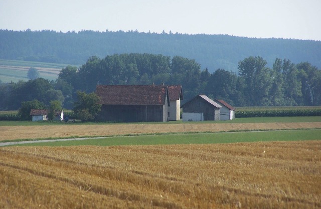 Former Vierseithof