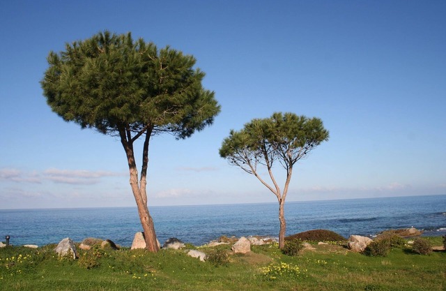 Air-conditioned mini-villa on the water on an exceptional site!