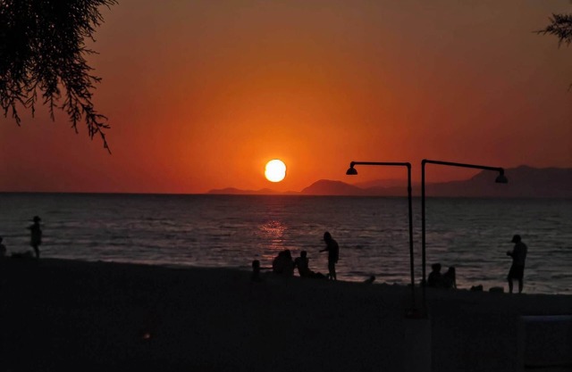 Freeman Greenlees Classical Greek