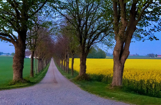 Fresh and comfortable farmhouse in idyllic village environment in Österlen. Private sunny patio