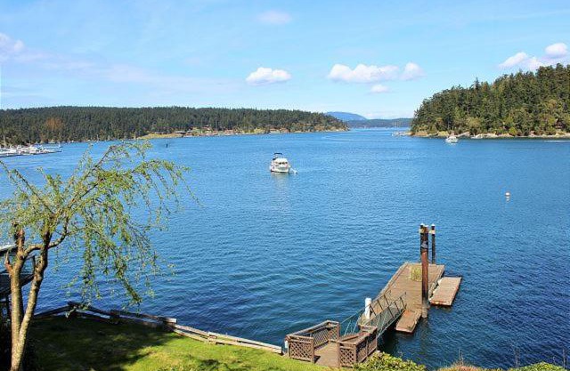 Friday Harbor Lights