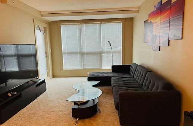 Full Apartment Near Stampede And Train Station