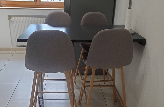 Fully furnished apartment on the outskirts of Geneva