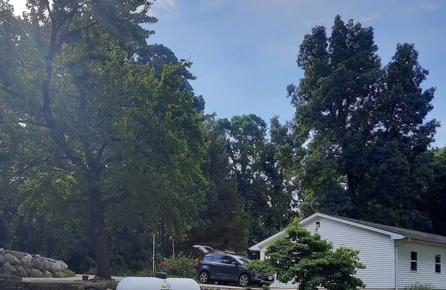 Furnished 2 BR, 2 BA basement apartment with separate entrances