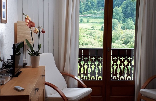 Furnished Studio for Holidays between Léman and Mémises