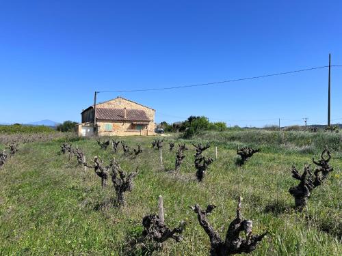 Gîte d'ysée au milieu des vignes