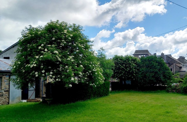 Gîte Le Lilas - Lac de Pareloup