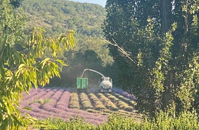 Gîte Le Tramontane Meublé de tourisme 4 étoiles Le Moulin de Prédelles