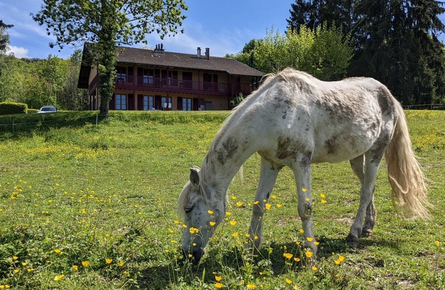 Gîte Les Vernes (11-13 pers.)