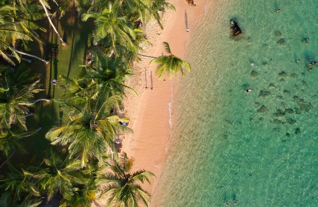 Beach Resort 