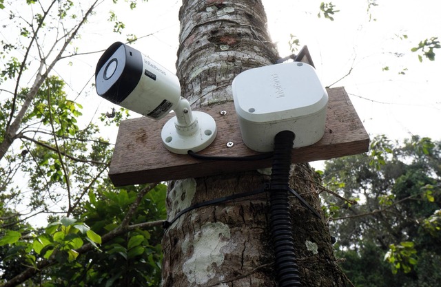 Garden House - Seafront - Praia Branca