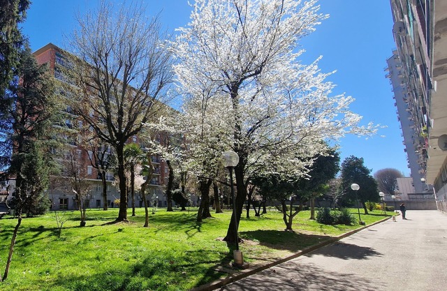 Garden on the Naviglio
