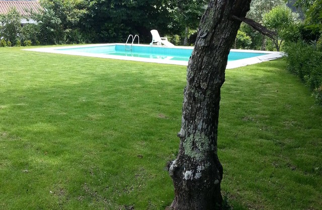 Gatao: Cottage in the begining of Douro very cosy and peaceful