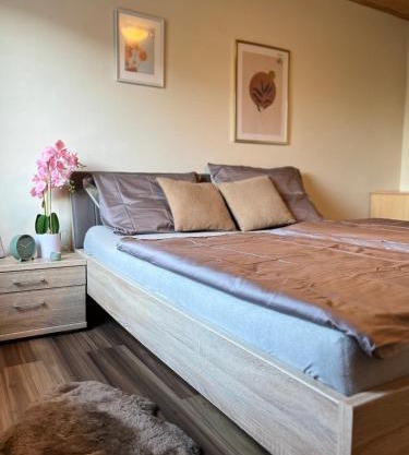 Gemütliche Wohnung/cozy apartment Niklasdorf