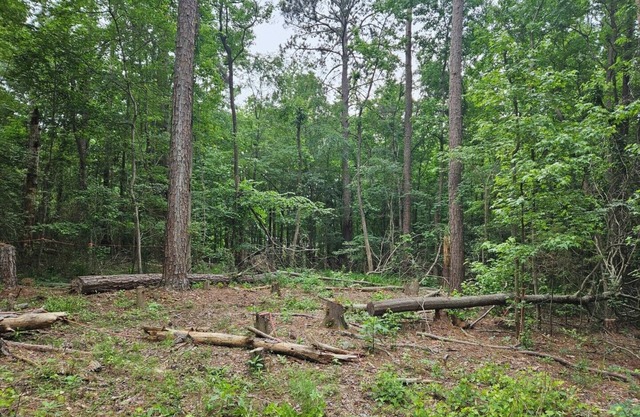 Get Away in a private full 1acre lot in the Columbia County city of Appling.