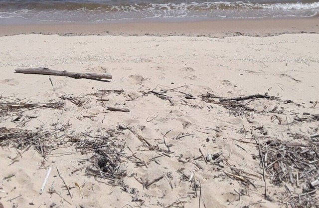 Get Away On The Bay!