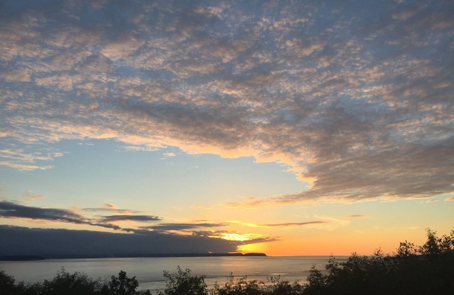 Get away to beautiful and peaceful Whidbey island!