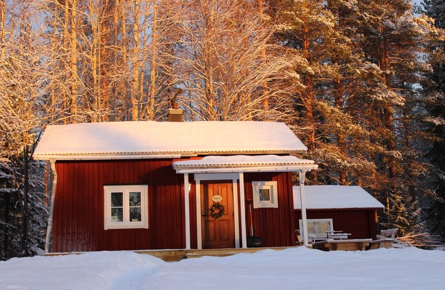 Get closer to the tranquility of a cozy little cabin at the end of the forest.