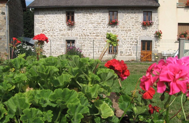 Gite 3 * near the PARC DES VOLCANS D'AUVERGNE and VULCANIA