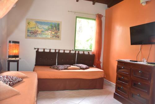 Gite d'Arles Bungalow "Orchidée"