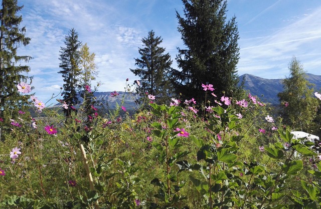 Gîte for up to 12 people in the heart of nature