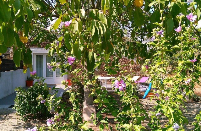 Gîte in the countryside G2072