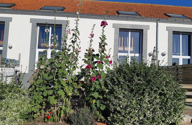 Gite in the heart of an artisan village - marsh views - near ocean