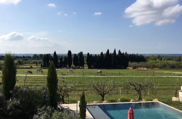 Gîte Mas de Cayol, Swimming pool in the heart of the Alpilles classified * (France)