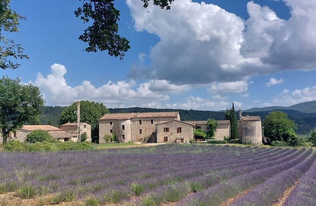 GITE PROVENCAL AVEC PISCINE "LE COSY LUBERON"