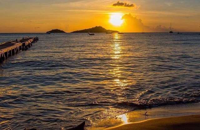Gîte-Zing-Zing Libellule-Superior-Ensuite with Bath-Garden view