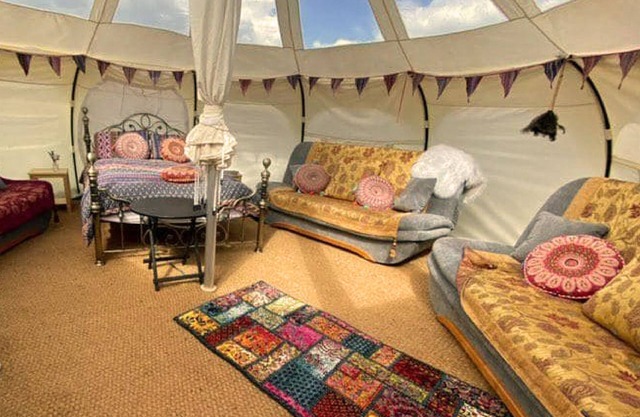 Glamping with Llamas in Valentina Stargazer Belle