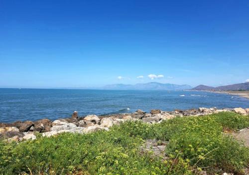 Gli agrumi di Nonna Peppina - Appartamento Limoni