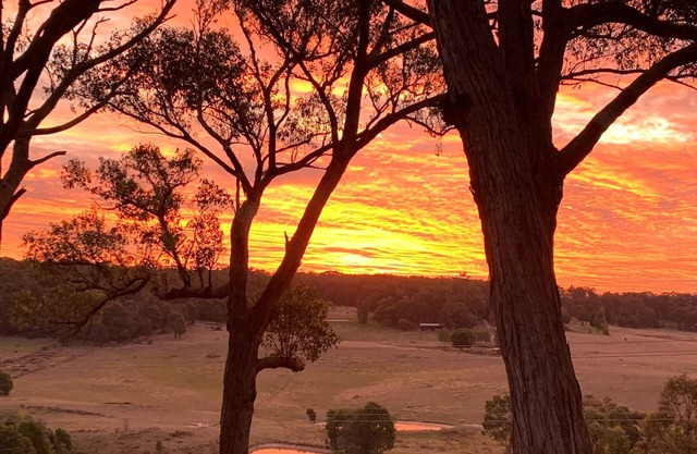 Glorious country views- Pet friendly
