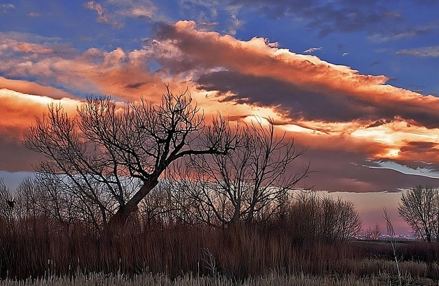 Go Hiking @ Flagstaff Mountain w/Impeccable Room Service, Near Aurora Top Spots