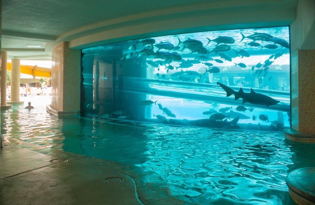 Gold Tower - Refreshed Double at Golden Nugget Las Vegas, Onsite Casino