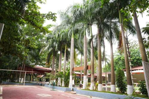 Golden Farms Resort