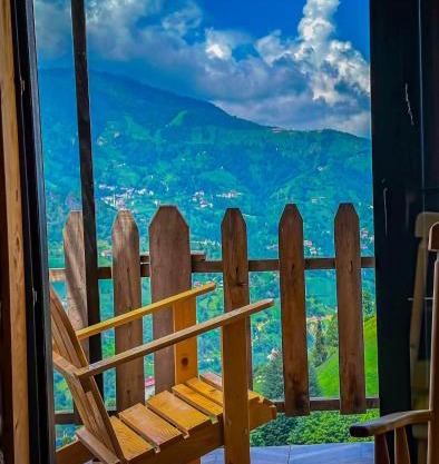 Golden Paws Guesthouse